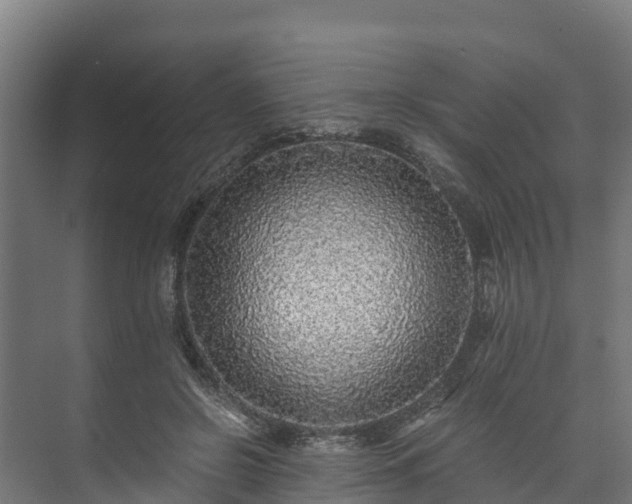 X0000073530550200608071150