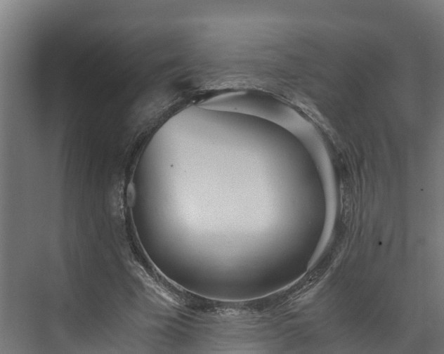 X0000073530585200608071150