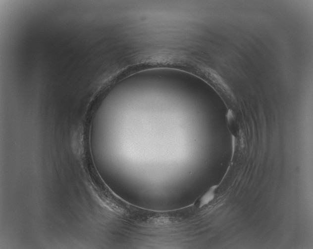 X0000073530588200608071150