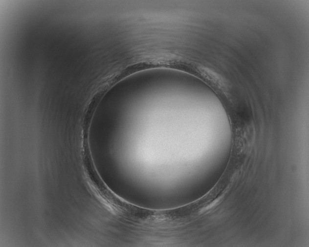 X0000073530589200608071150