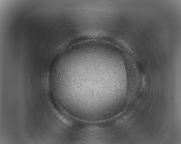 X0000073530590200608071150