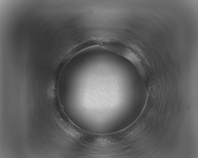 X0000073530596200608071149