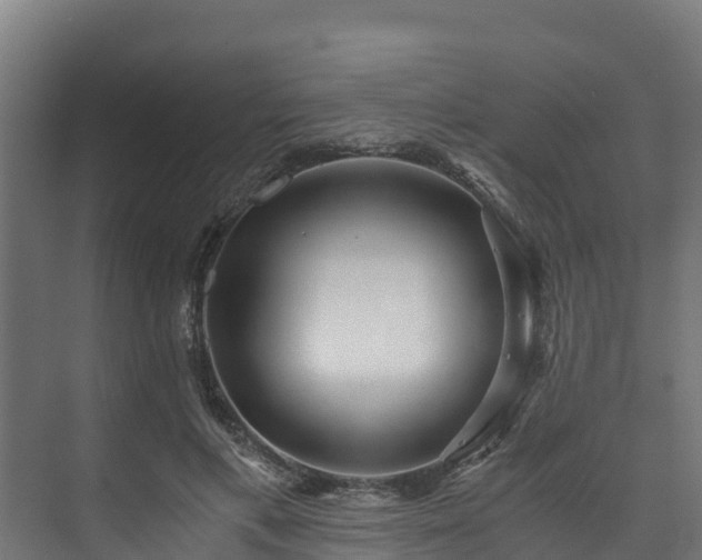 X0000073530597200608071149