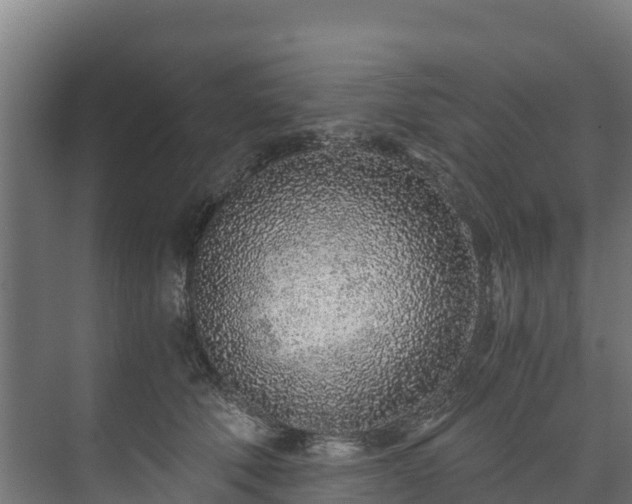 X0000073530610200608071149