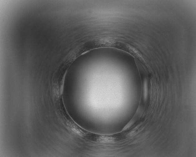 X0000073530617200608071149