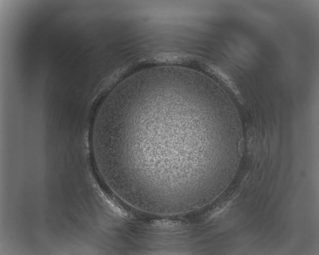 X0000073530633200608071148