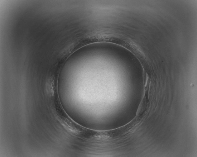 X0000073530644200608071148