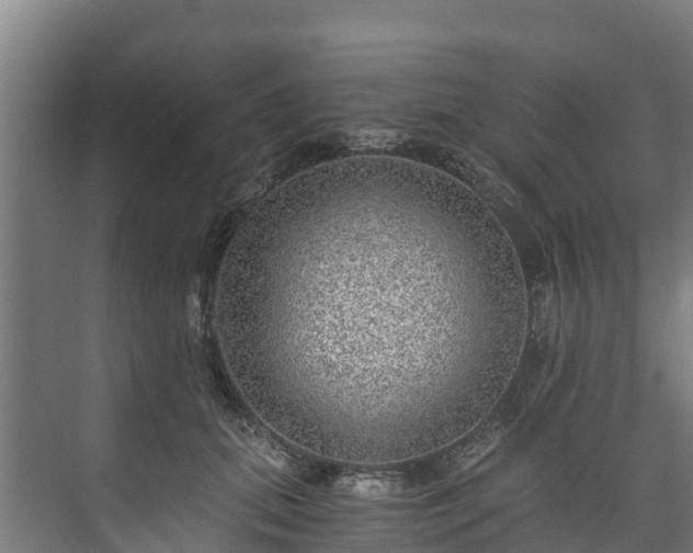 X0000073530655200608071149