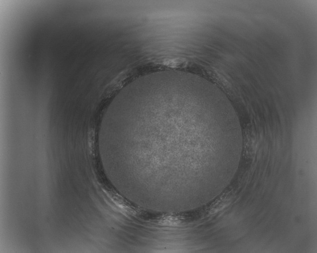 X0000073530656200608071149