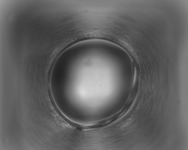X0000073530673200608071148
