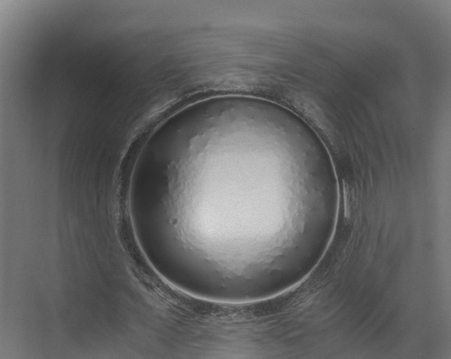 X0000073530675200608071148