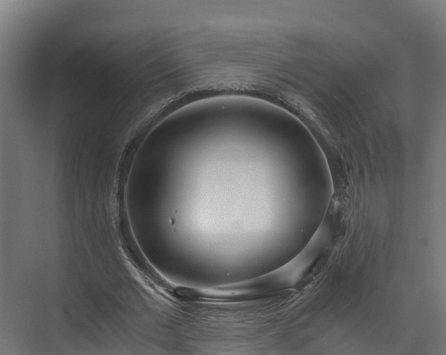 X0000073530677200608071148