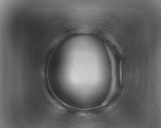 X0000073530681200608071148