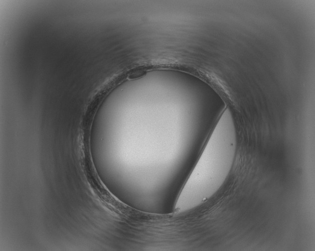 X0000073530684200608071148