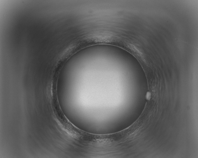 X0000073530686200608071148