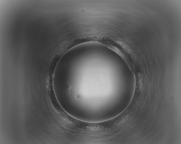 X0000073530693200608071148