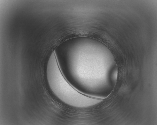 X0000073530700200608071148