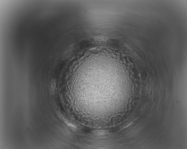 X0000073530711200608071147