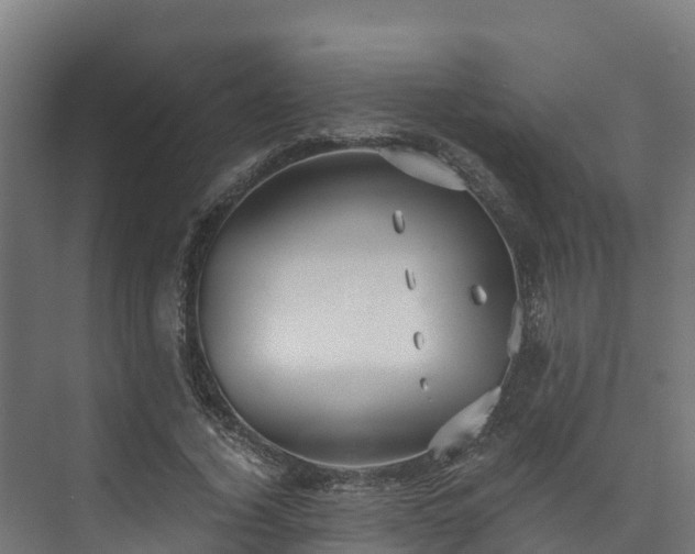 X0000073530732200608071147