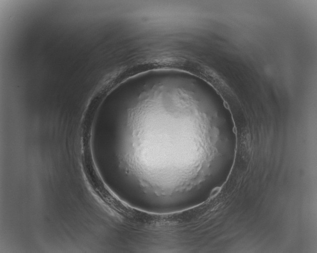 X0000073530734200608071147