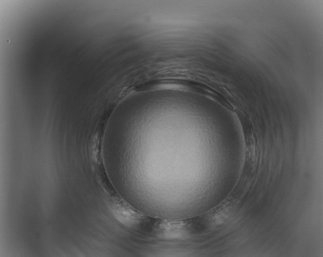 X0000073530767200608071147