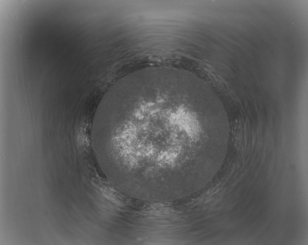 X0000073530770200608071146