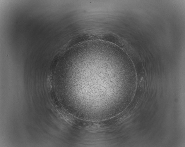 X0000073530772200608071146