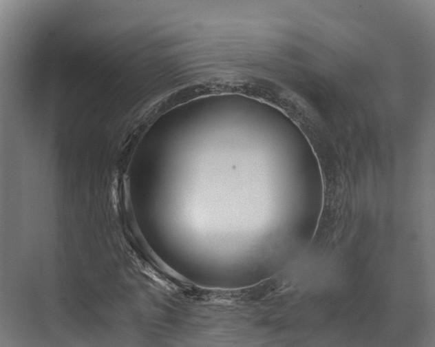 X0000073530773200608071146