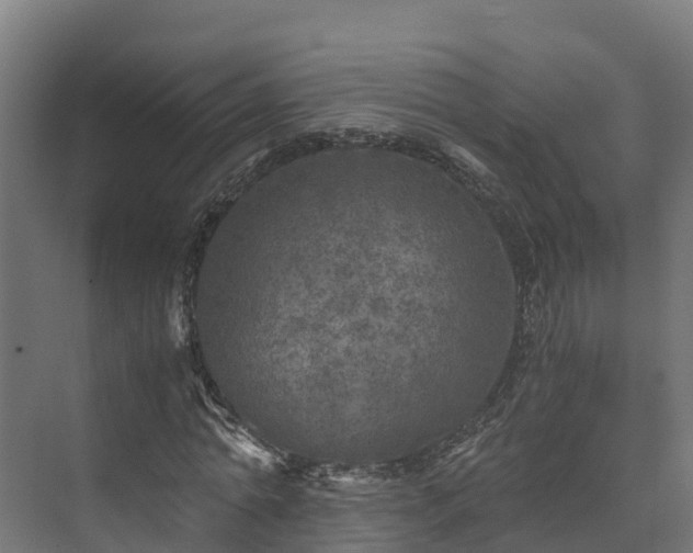 X0000073530774200608071146