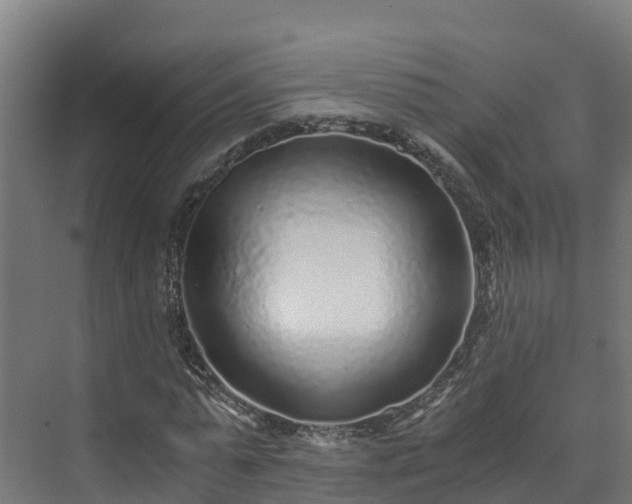 X0000073530775200608071146
