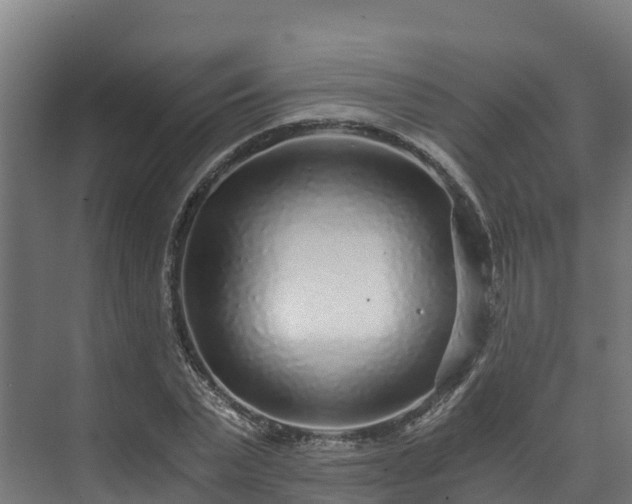 X0000073530783200608071146