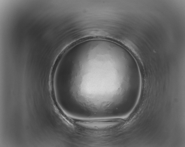 X0000073530791200608071146