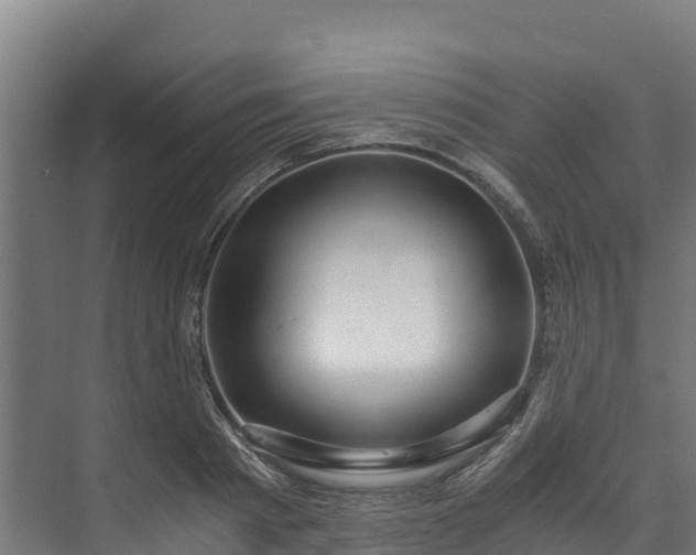 X0000073530793200608071146