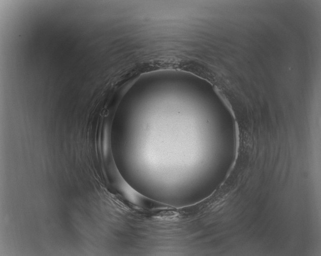 X0000073530818200608071145