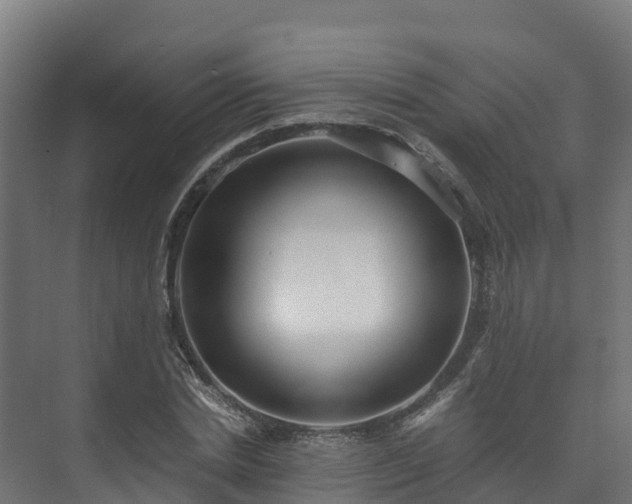 X0000073530830200608071145