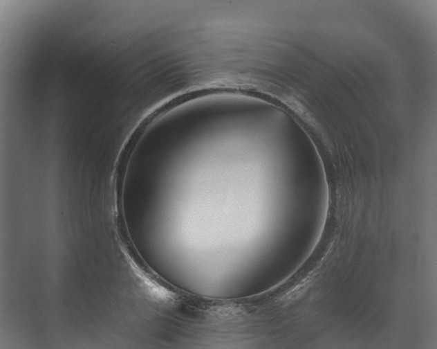 X0000073530838200608071145