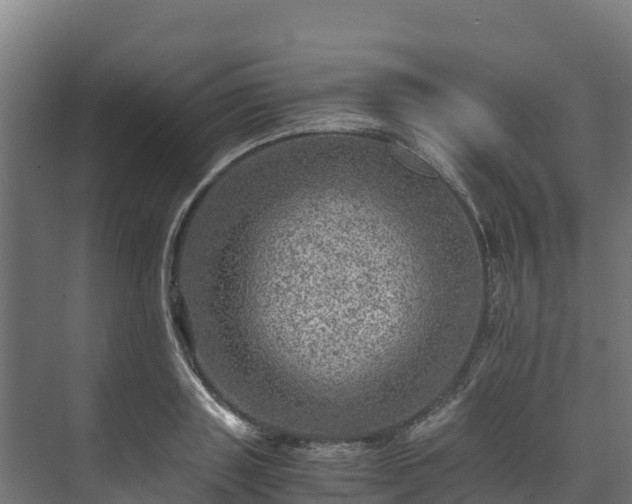 X0000073530843200608071145