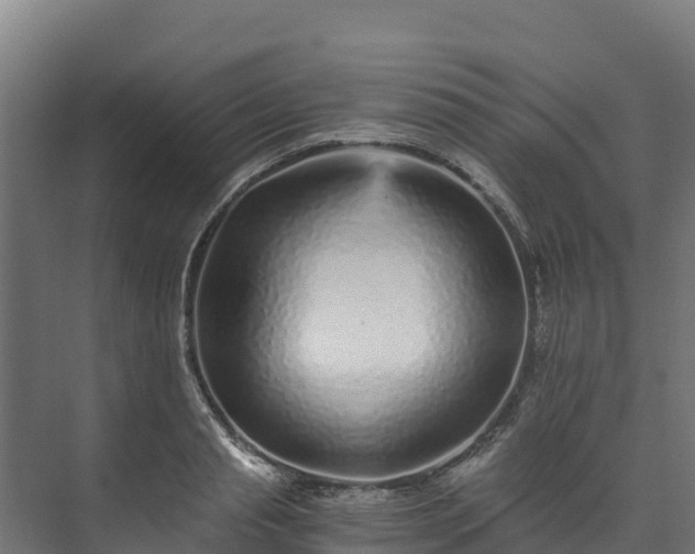 X0000073530845200608071145