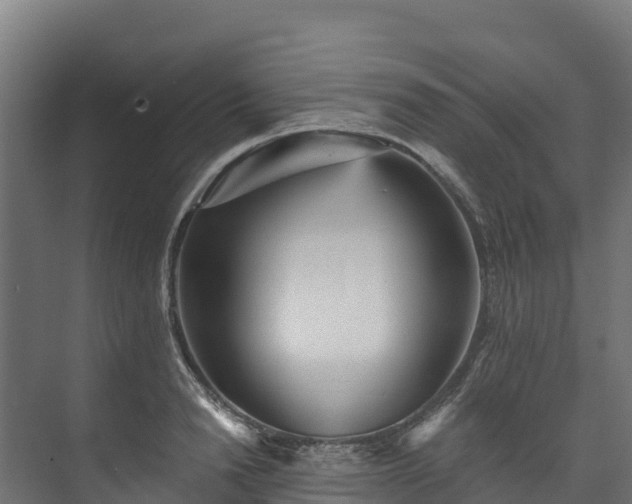 X0000073530846200608071145
