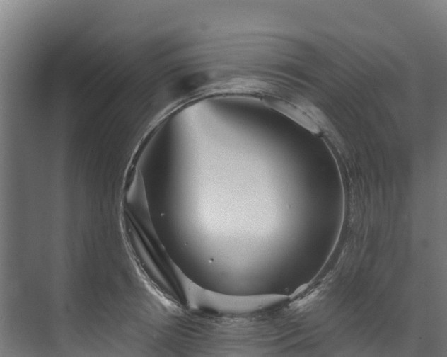 X0000073530850200608071145