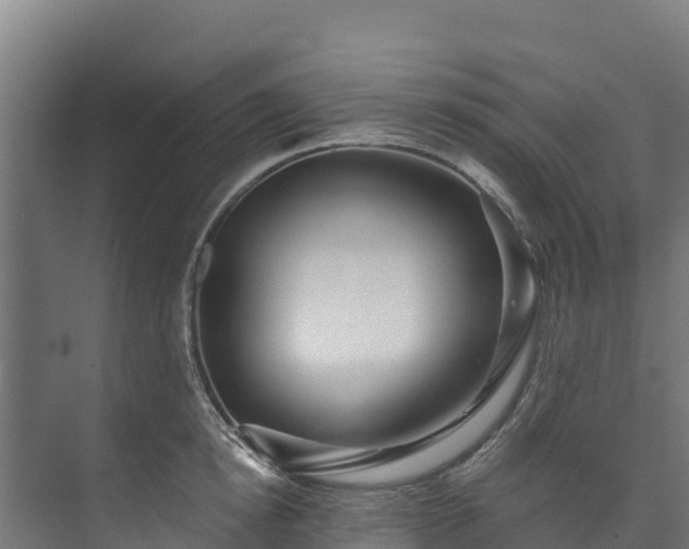 X0000073530854200608071146