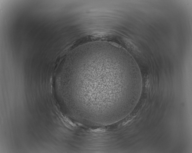 X0000073530868200608071145