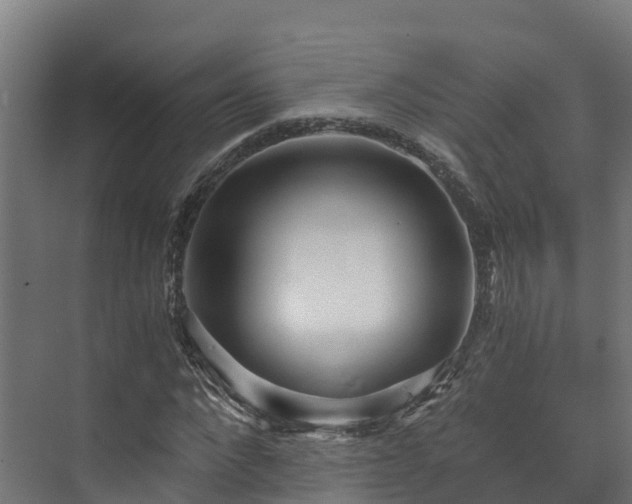 X0000073530872200608071145