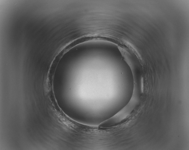 X0000073530876200608071145