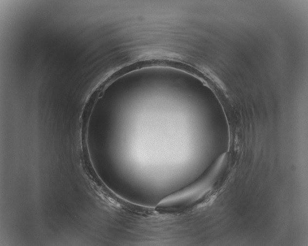 X0000073530877200608071145