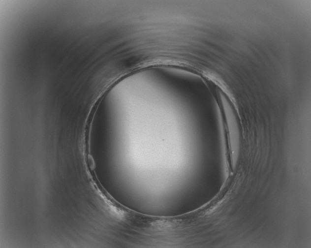 X0000073530898200608071144
