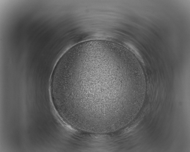 X0000073530899200608071144