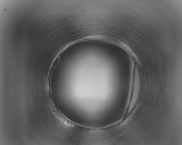 X0000073530908200608071144