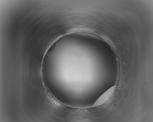 X0000073530912200608071144