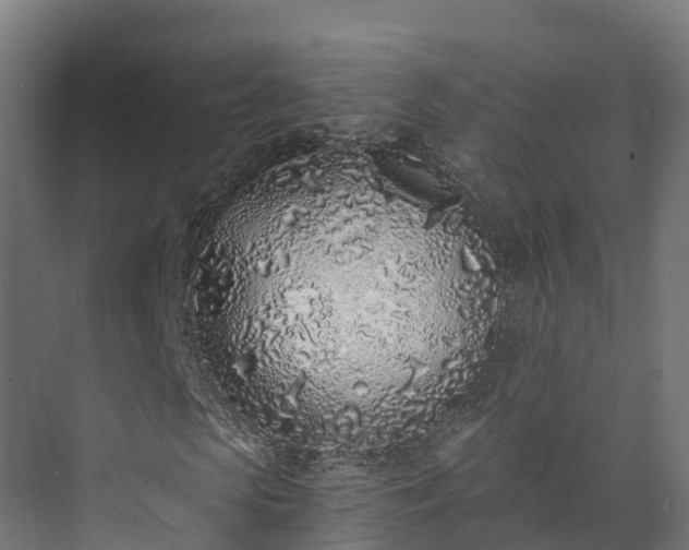 X0000073530913200608071143
